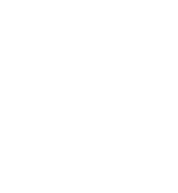 Skyotech Logo